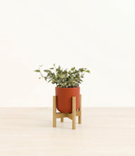 Load image into Gallery viewer, Earth Red stand:light
