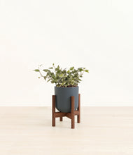 Load image into Gallery viewer, Iron Gray stand:dark
