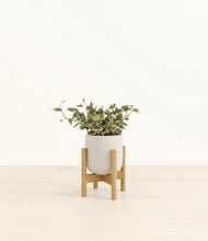 Load image into Gallery viewer, Natural Bamboo stand:light
