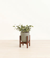 Load image into Gallery viewer, Sage Green stand:dark
