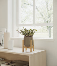 Charger l'image dans la galerie, Olive stand:light
