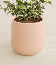 Charger l'image dans la galerie, Gentle Pink stand:all
