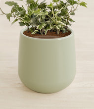 Charger l'image dans la galerie, Turquoise stand:all
