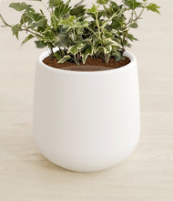 Charger l'image dans la galerie, White stand:all
