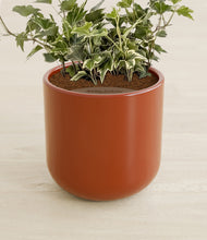 Charger l'image dans la galerie, Glossy Red stand:all
