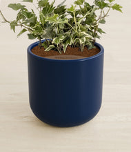 Charger l'image dans la galerie, Twilight Blue stand:all
