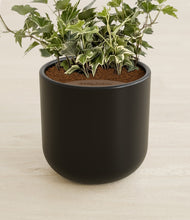 Charger l'image dans la galerie, Stone Black stand:all
