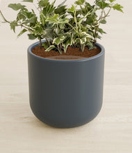Charger l'image dans la galerie, Iron Gray stand:all
