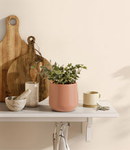 Charger l'image dans la galerie, Calm Rose
