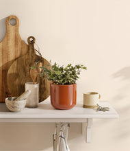 Charger l'image dans la galerie, Glossy Red
