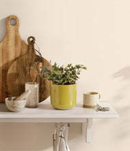 Charger l'image dans la galerie, Key Lime Yellow
