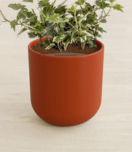 Load image into Gallery viewer, Earth Red stand:all
