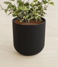 Load image into Gallery viewer, Stone Black stand:all
