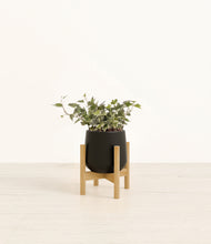 Charger l'image dans la galerie, Black stand:light
