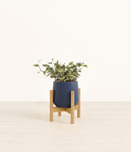 Charger l'image dans la galerie, Deep Navy stand:light
