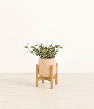 Charger l'image dans la galerie, Gentle Pink stand:light
