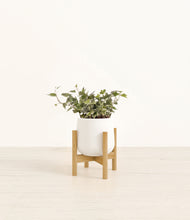 Charger l'image dans la galerie, White stand:light
