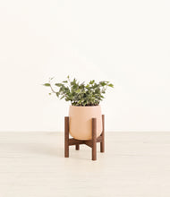 Charger l'image dans la galerie, Gentle Pink stand:dark
