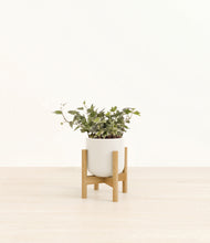 Charger l'image dans la galerie, Cotton White stand:light
