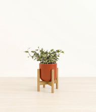 Charger l'image dans la galerie, Glossy Red stand:light
