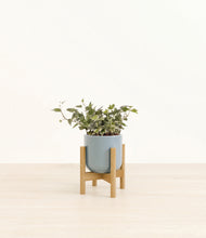 Charger l'image dans la galerie, Misty Blue stand:light
