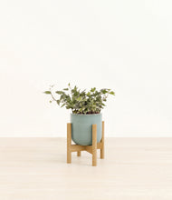 Charger l'image dans la galerie, Reactive Aqua stand:light

