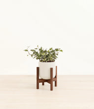 Charger l'image dans la galerie, Cotton White stand:dark
