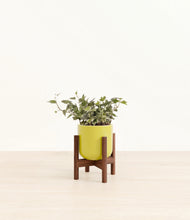 Charger l'image dans la galerie, Key Lime Yellow stand:dark
