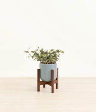 Charger l'image dans la galerie, Misty Blue stand:dark
