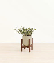 Charger l'image dans la galerie, Sage Green stand:dark

