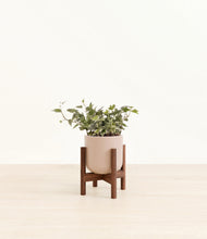 Charger l'image dans la galerie, Sandy Pink stand:dark

