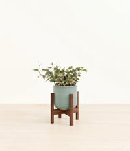 Charger l'image dans la galerie, Reactive Aqua stand:dark
