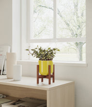 Charger l'image dans la galerie, Key Lime Yellow stand:dark

