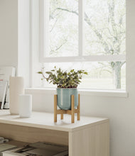Charger l'image dans la galerie, Reactive Aqua stand:light
