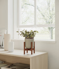 Load image into Gallery viewer, Sage Green stand:dark
