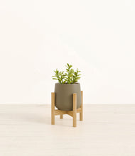 Load image into Gallery viewer, Olive stand:bamboo
