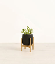 Load image into Gallery viewer, Black stand:bamboo
