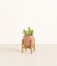 Load image into Gallery viewer, Calm Rose stand:bamboo
