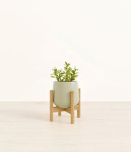 Load image into Gallery viewer, Turquoise stand:bamboo
