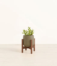 Load image into Gallery viewer, Olive stand:walnut
