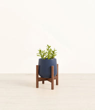 Load image into Gallery viewer, Deep Navy stand:walnut
