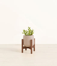 Load image into Gallery viewer, Eternal Gray stand:walnut
