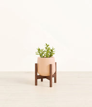 Load image into Gallery viewer, Gentle Pink stand:walnut
