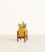 Load image into Gallery viewer, Mustard stand:walnut
