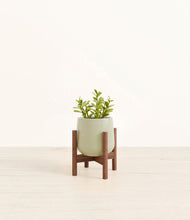 Load image into Gallery viewer, Turquoise stand:walnut
