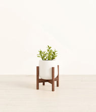 Load image into Gallery viewer, White stand:walnut
