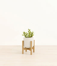 Load image into Gallery viewer, Cotton White stand:bamboo
