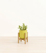 Load image into Gallery viewer, Key Lime Yellow stand:bamboo

