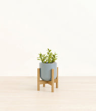 Load image into Gallery viewer, Misty Blue stand:bamboo
