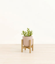 Load image into Gallery viewer, Sandy Pink stand:bamboo

